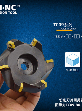 海纳TC09-50/63/80/100/125加工中心数控刀具45度平面废角铣刀盘
