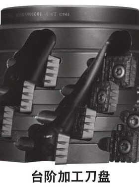 海纳MSRS90重切削粗加工玉米型侧铣数控铣刀盘SPMT180616EN-NB3/4