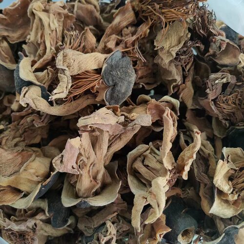 木棉花拍3斤包邮木棉花干