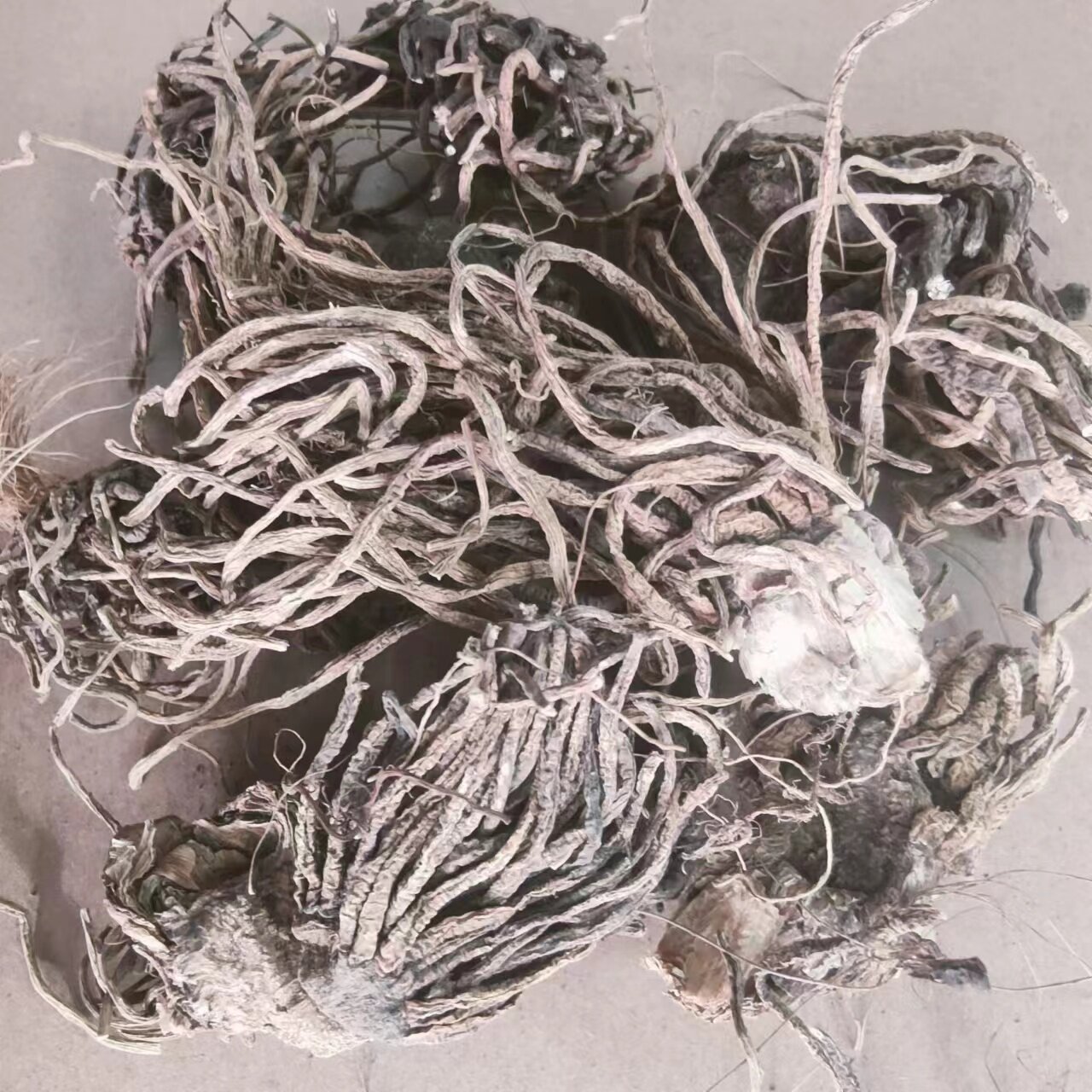 藜芦 黎芦 力芦 梨芦 山葱 憨葱 七里丹 人头发 500g克 中草药材