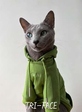 绿色卫衣 三角脸无毛德文阿比暹罗东短俄蓝豹猫春秋冬潮酷帽衫