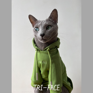 绿色卫衣 三角脸无毛德文阿比暹罗东短俄蓝豹猫春秋冬潮酷帽衫