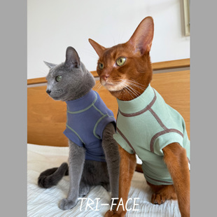 三角脸无毛德文东短阿比暹罗豹猫宠物服装棉撞色春秋背心2025新款