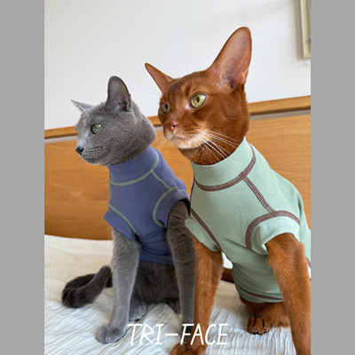 三角脸阿比德文猫衣服