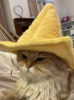 Heleworld植物大战僵尸毛绒玩具路锥帽子可穿戴纯手工限量制作