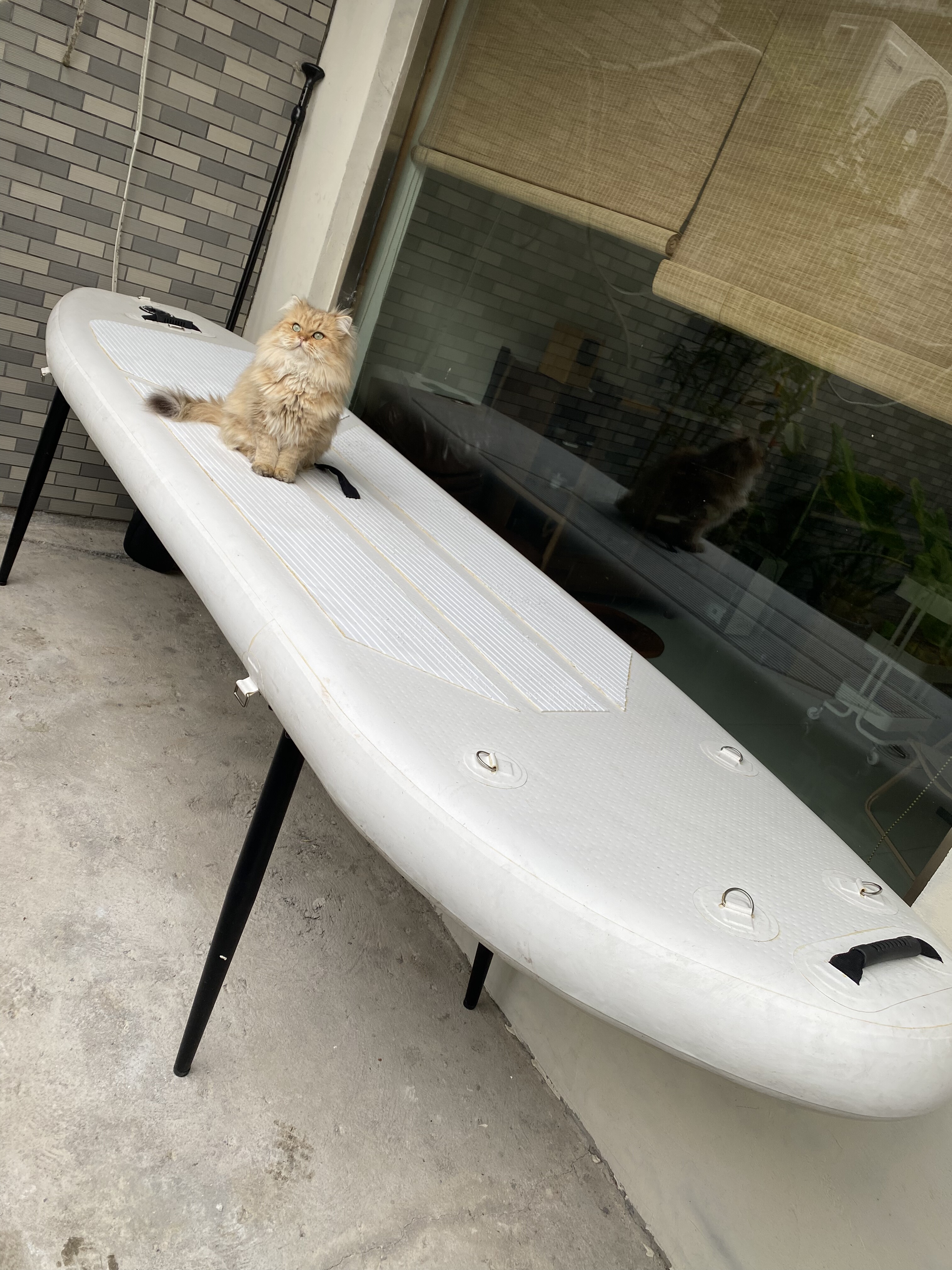 皮划艇充气船路亚船钓鱼船冲浪板充气船全新孤品样品