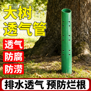 树木移栽透气筒大树排气管观察施肥容器代替PVC管根部透气渗水管