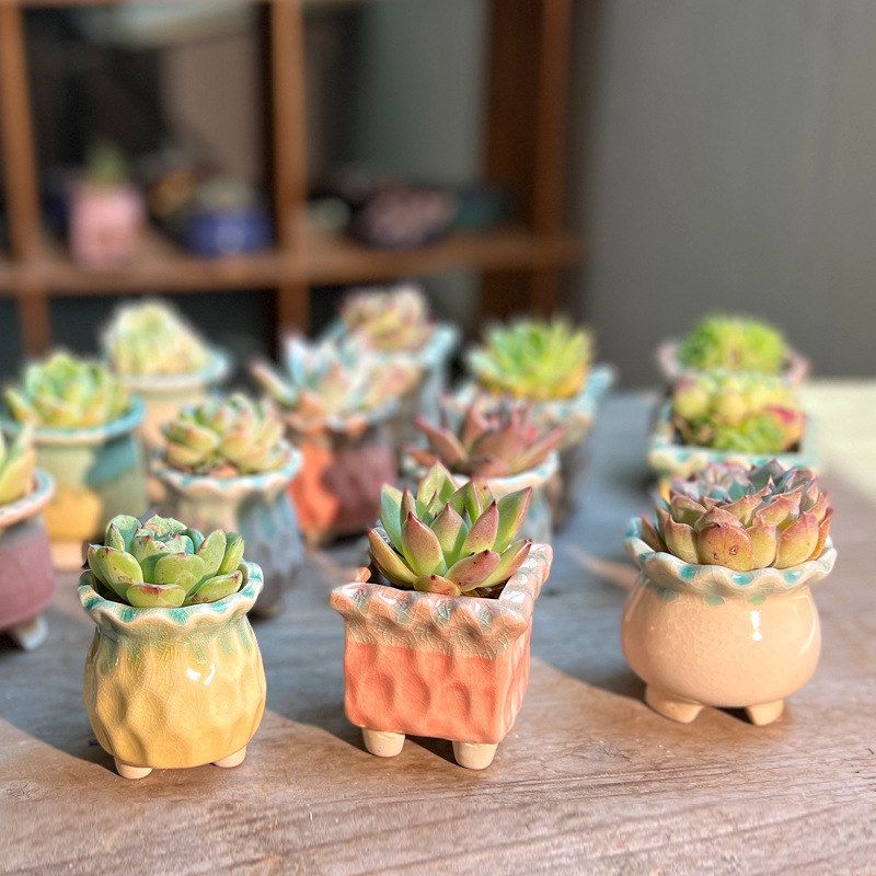 各种陶瓷花盆小号迷你多肉专用简约渐变色冰裂釉创意装饰拇指盆