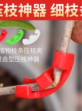 折弯压枝红色塑料茎树枝定型造型矫正绿植支撑枝条器器树植物弯折
