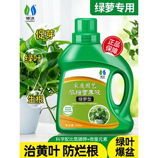 绿萝营养液专用肥绿箩营业液绿罗肥料家用植物花肥盆栽土培水培用