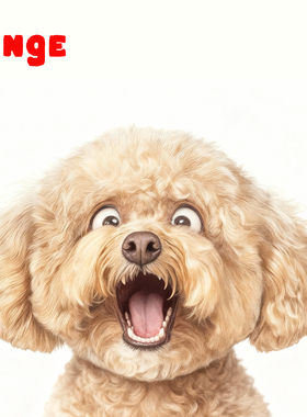 Dinge宠物猫狗照片一件来图定制异形抱枕抱枕被周边生日礼物拆洗