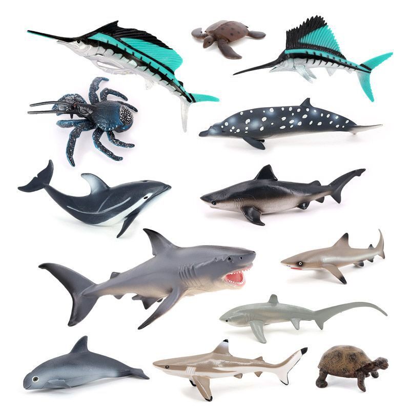 海洋动物模型鲨鱼海豚旗鱼鲸鱼龟椰子蟹布氏中喙鲸儿童玩具摆件
