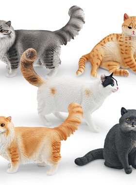 仿真宠物猫咪模型布偶猫索马里猫短毛猫宫里的猫儿童认知装饰