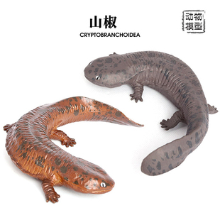 山椒鱼模型大鲵娃娃鱼仿真爬行动物模型儿童认知塑胶玩具摆件