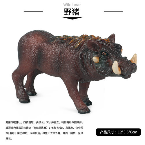 野猪模型公猪母猪疣猪黑猪仿真家禽动物儿童玩具农场实心摆件