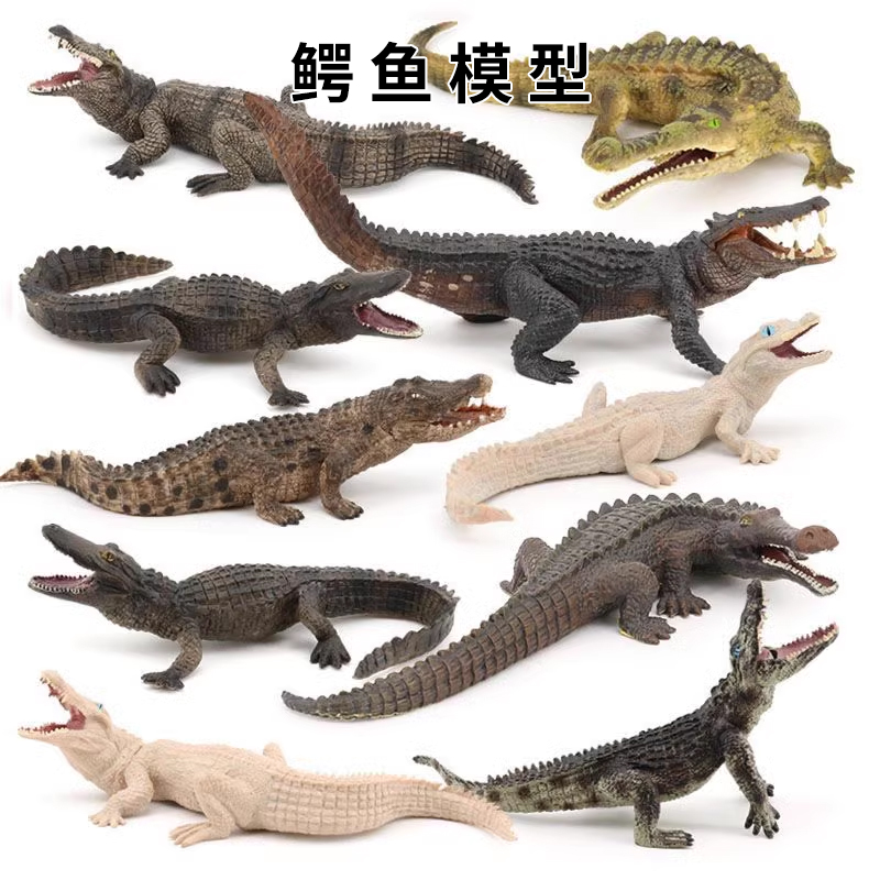 24种鳄鱼模型仿真鳄鱼帝鳄尼罗鳄野猪鳄扬子鳄动物摆件儿童玩具