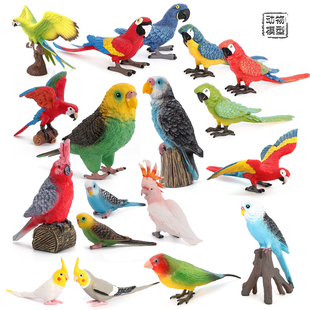 40种鹦鹉模型动物玩具金刚鹦鹉玄凤凤头鹦鹉虎皮鹦鹉牡丹鹦鹉摆件