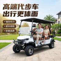 Electric golfcart, golfcart, scenic area shuttle, homestay, house viewing, patrol, golfcart, four-wheel sightseeing vehicle thumbnail 2