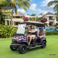 Electric golfcart, golfcart, scenic area shuttle, homestay, house viewing, patrol, golfcart, four-wheel sightseeing vehicle thumbnail 6