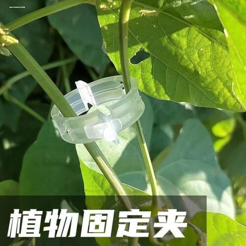 黄瓜西红柿豆角枝条固定器绿植蔬菜捆绑藤蔓扎带专用园林工具