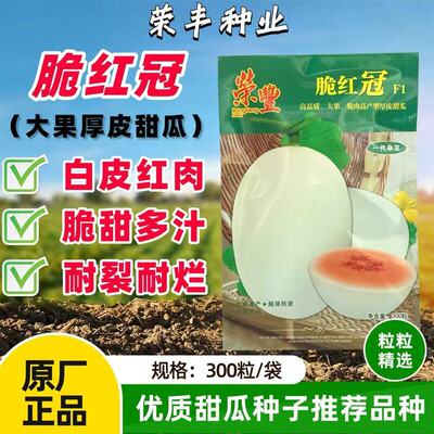 荣丰脆红冠甜瓜种子厚皮杂交高产甜瓜种籽白皮红肉高糖耐裂耐贮运