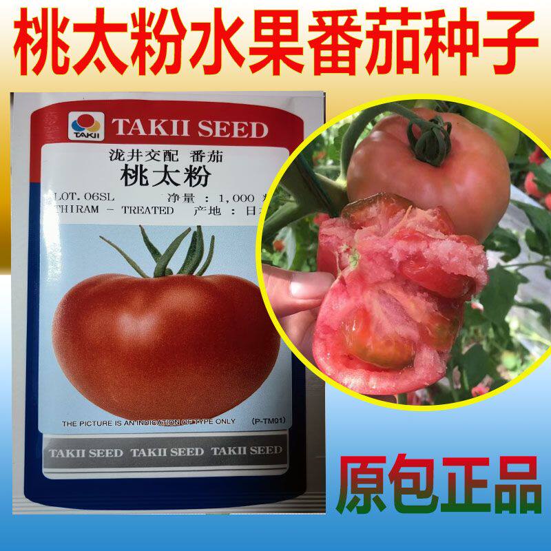 桃太粉桃梦茜 桃星心动水果番茄夏之宝石番茄种子 日本泷井番茄
