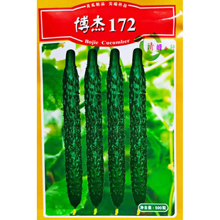 黄瓜种孑 瓜皮深绿油亮青肉密刺高产抗病 博杰172 耐热型黄瓜种子