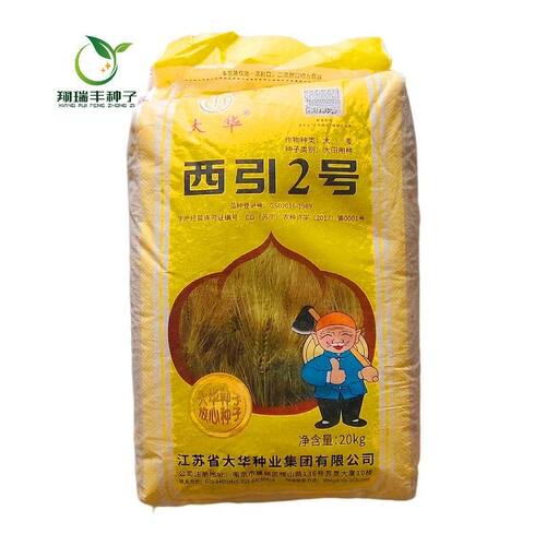 大麦种子原种正宗大麦优质芽菜苗可榨汁高产麦种子麦芽糖酿酒粮食