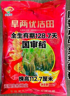 国审 旱两优洁田旱稻种子 籼型两系杂交稻种籽优质高产抗旱稻种籽