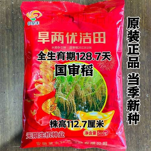 国审 旱两优洁田旱稻种子 籼型两系杂交稻种籽优质高产抗旱稻种籽