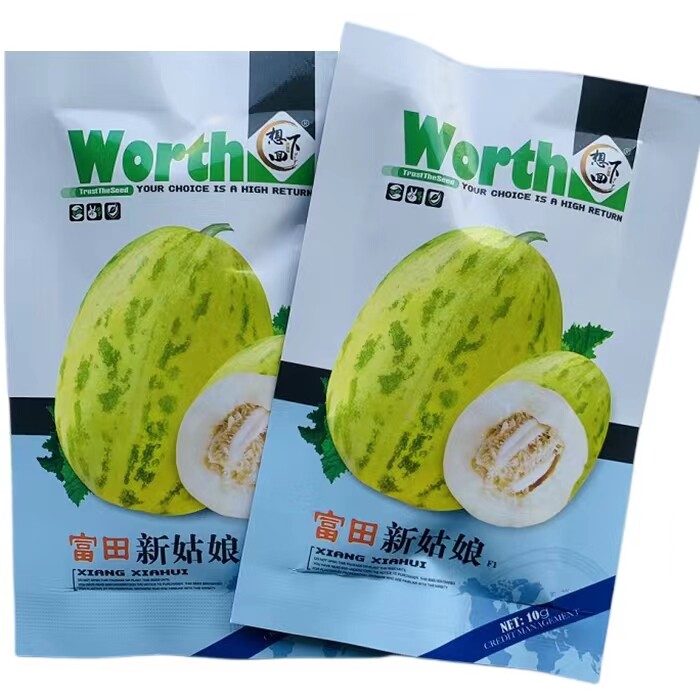 花皮瓜香瓜种子甜瓜种籽早熟薄皮肉白色豹点甜瓜种孑基地大田种植