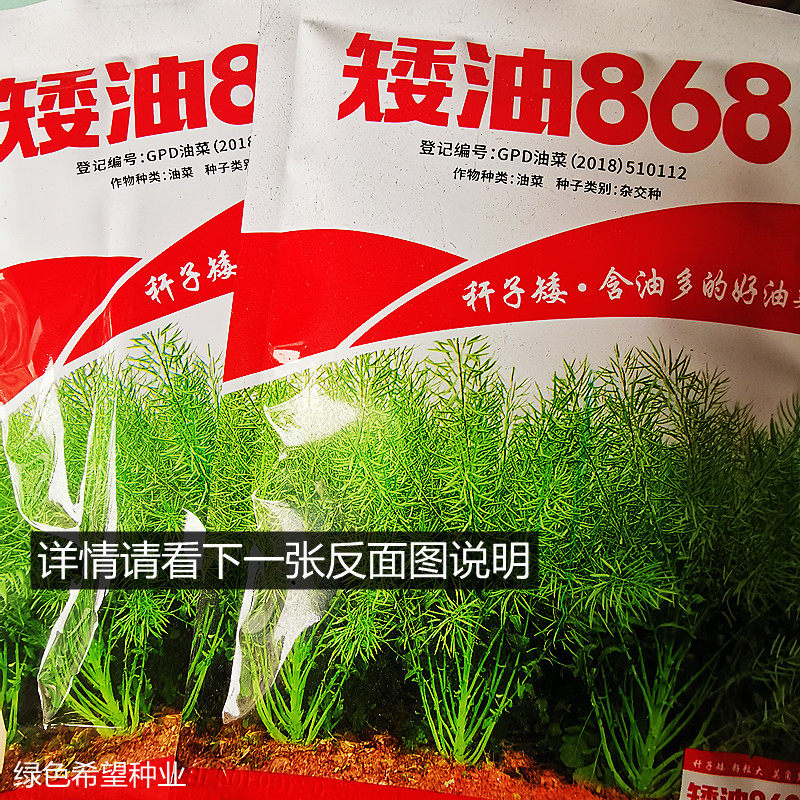 川油油菜种子南油868油菜种籽抗病抗倒伏高产油菜籽秋季播油菜孑