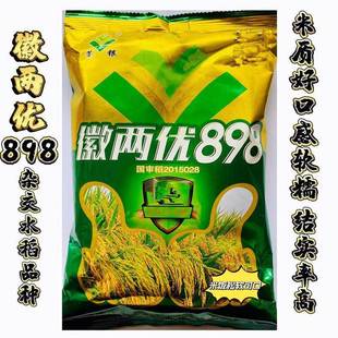 国审水稻种子徽两优898杂交水稻种籽穗大粒圆常规籼稻旱稻