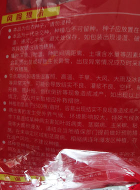 蠡玉88玉米种子大田饲料玉米种籽杂交高产抗倒喂猪喂羊春季夏季播