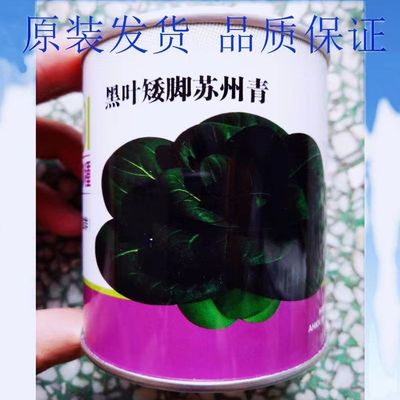 黑叶苏州青澳华黑大头正宗老牌青菜种子四季播种大田耐热家庭阳台