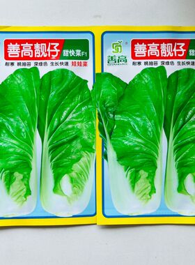 善高靓仔甜快菜种子早熟甜快菜种子耐寒耐抽苔深绿色生长快速快菜