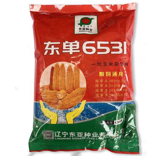 东单6531玉米种子国审大棒抗旱耐涝抗盐碱适广性强苞谷大田玉米孑