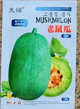 老鼠瓜甜瓜种子大田用种灰鼠子甜瓜种子青皮芽率高丰产稳产香瓜籽