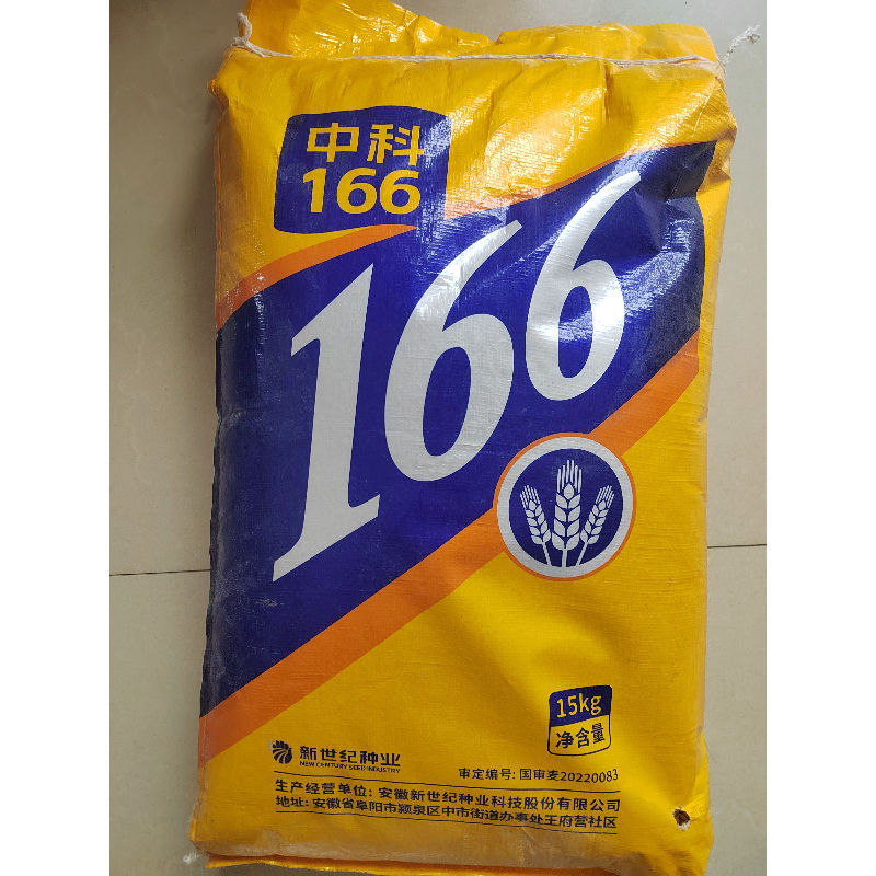 国审小麦种子新世纪种业中科166麦子秋播高产抗病抗倒伏小麦种子图片