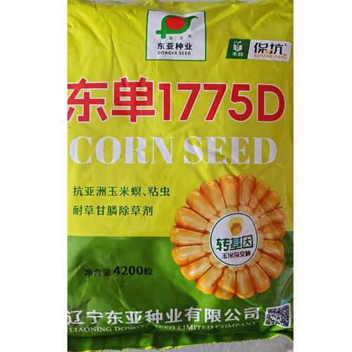 东单1775玉米种子国审原厂正品高产稳产耐高温抗病抗倒优质苞谷种