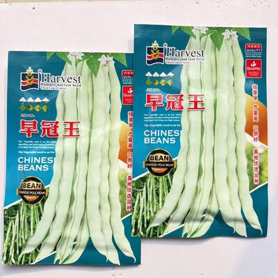 早冠王架豆王种子高产早熟四季豆蔬菜种子春秋大田摘不败九粒白