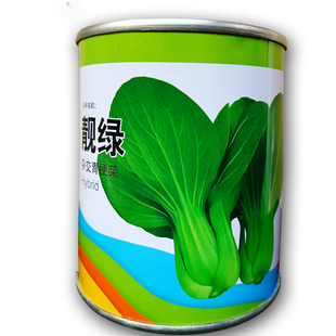 青梗菜春夏秋冬易靓绿蔬菜种子播种易播种成活杂交种子四季