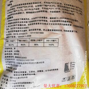 郑旱10号旱稻种子山地丘陵旱地播种稻谷种籽抗病抗倒农家大田春播