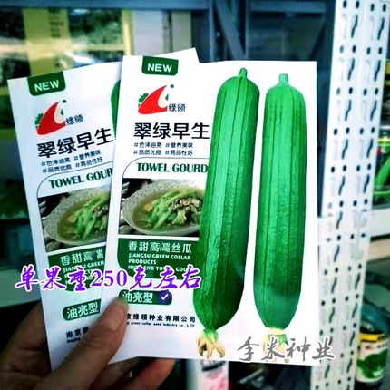 播油亮型绿油种籽春夏秋季蔬菜绿油种优质920孑910种业绿领丝瓜