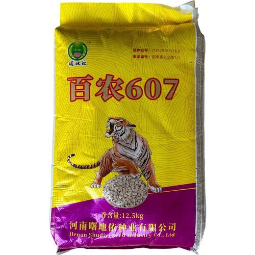 国审百农607小麦种子正规正品高产稳产矮秆抗倒抗冻抗病秋季播种