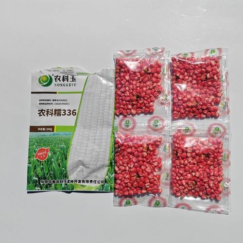 【农科糯336】甜加糯玉米种子早熟大棒 甜糯鲜食玉米种籽拆包去码
