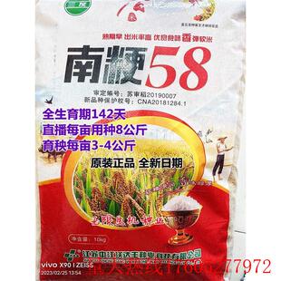 粳稻种子 南粳58水稻种籽 高产中早熟圆粒软香米种籽农家大田种孑