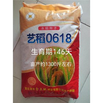 艺稻0618水稻种子常规型中粳稻种籽高产抗病抗倒大田基地春秋播种