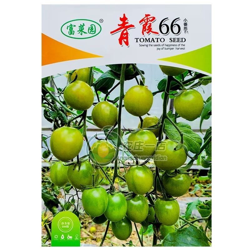 青糖霜青口蜜梦想青甜二号瑭珀虎青霞66绿色樱桃番茄圣女果种子籽