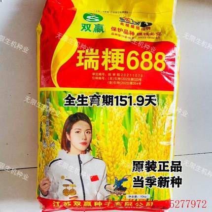 粳稻种子瑞粳688水稻种籽高产抗病圆粒软香米种籽农家大田水稻种